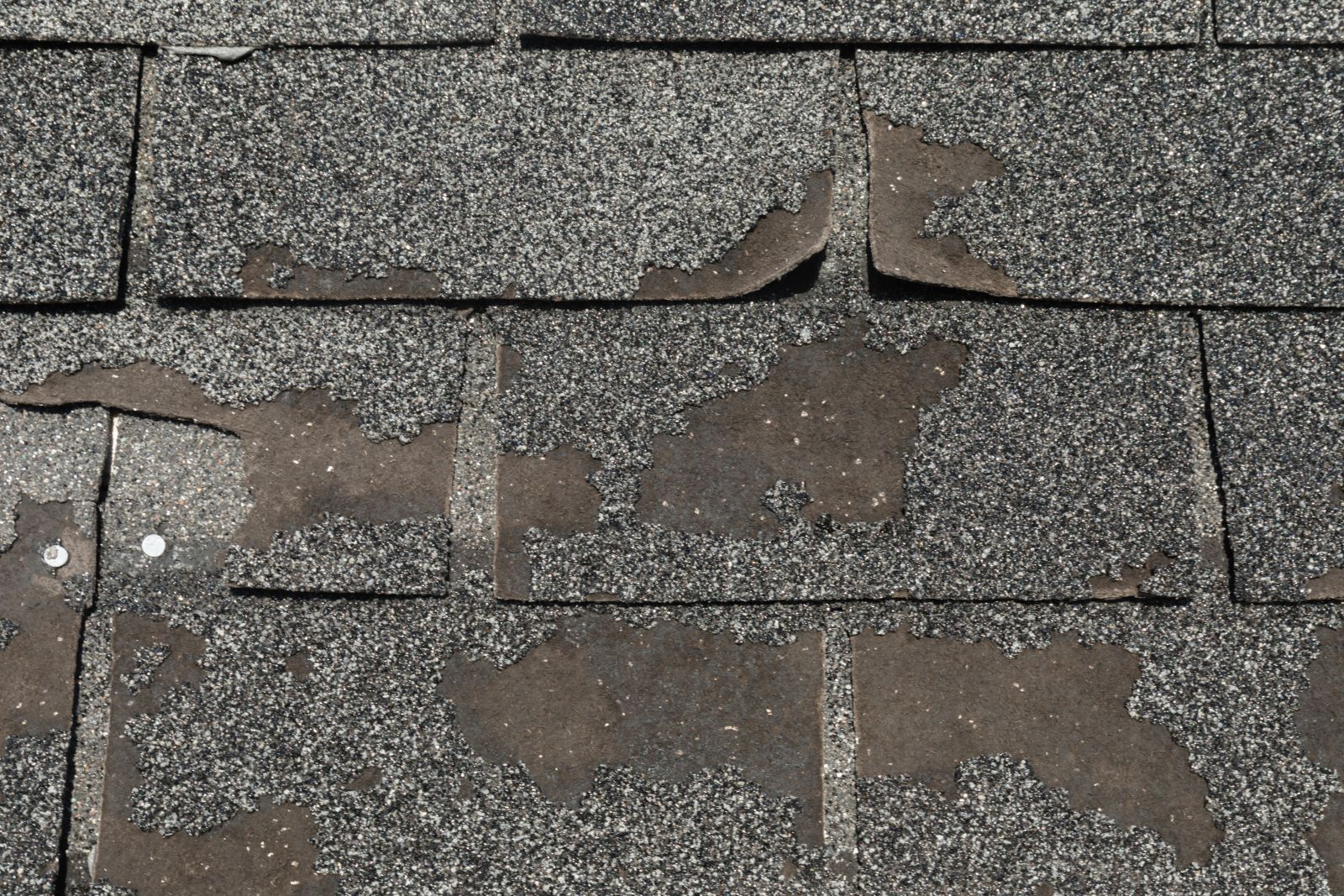 Clear Point Construction, Inc. Images