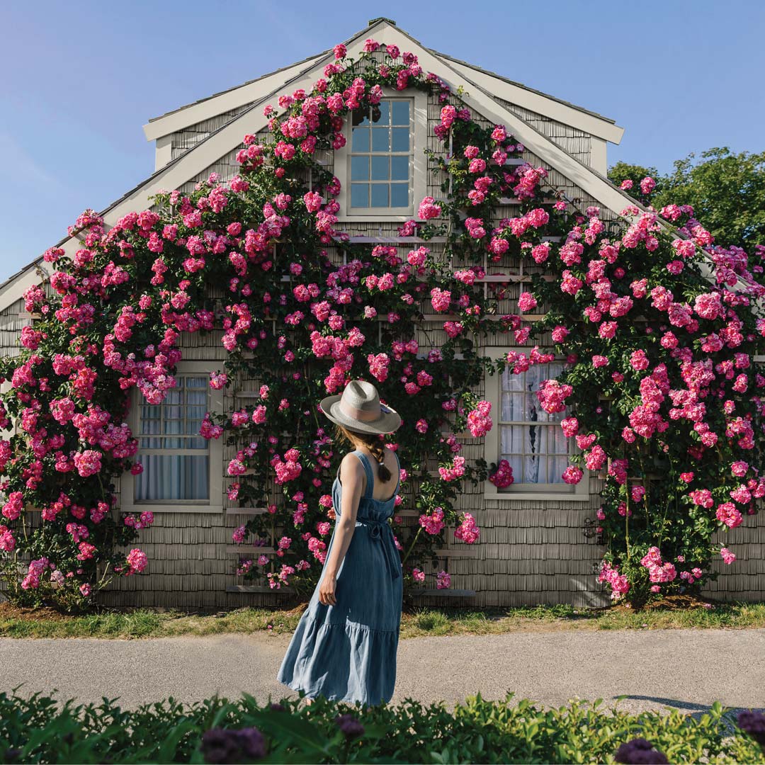 Clear Point Construction, Inc. Images