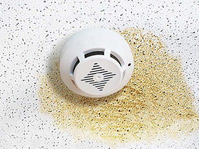 Clear Point Construction, Inc. Images